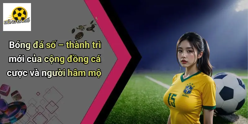 Tin Tức Bóng Đá