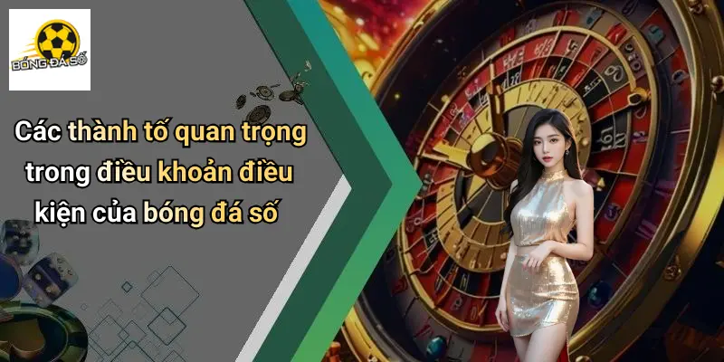 Điều Khoản Điều Kiện