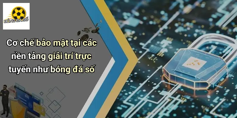 quyền riêng tư 2 Quyền Riêng Tư
