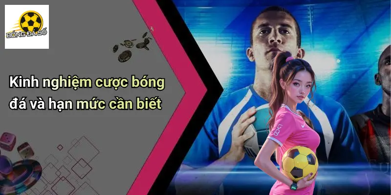 Bóng đá số 71 Bóng Đá Số