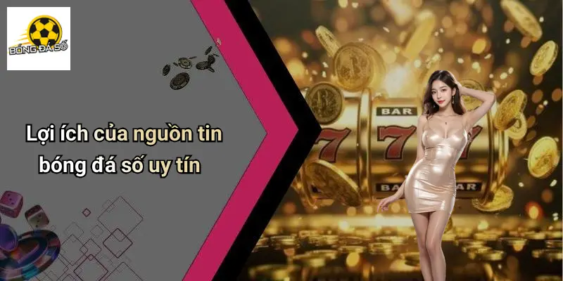 Tin Tức Bóng Đá