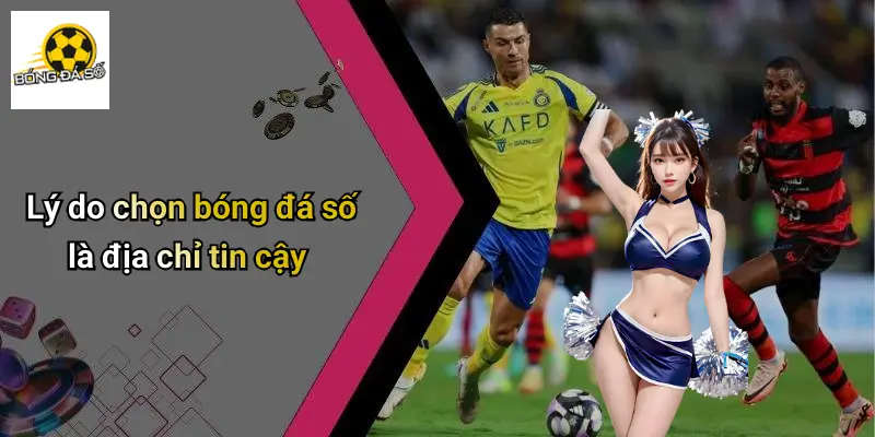 Bóng đá số 67 Bóng Đá Số
