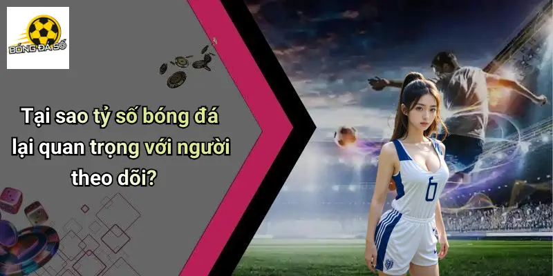 Tỷ số bóng đá 1 Tỷ Số Bóng Đá