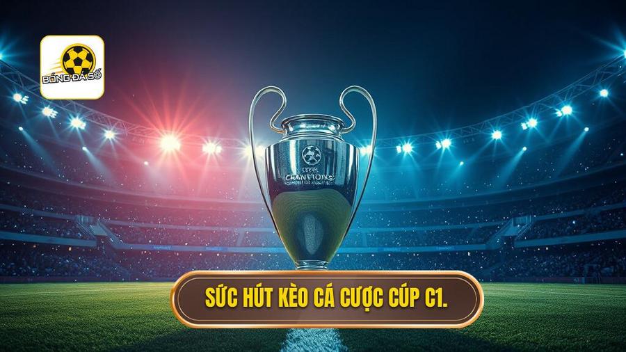 Sức hút kèo cá cược Cúp C1