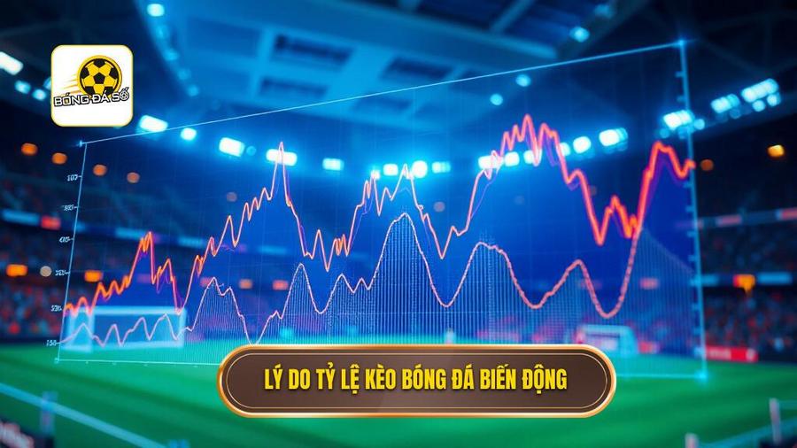 2. Lý do tỷ lệ kèo bóng đá biến động