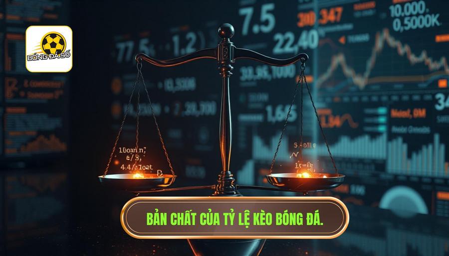 Hiểu Đúng Về Bản Chất Của Tỷ Lệ Kèo