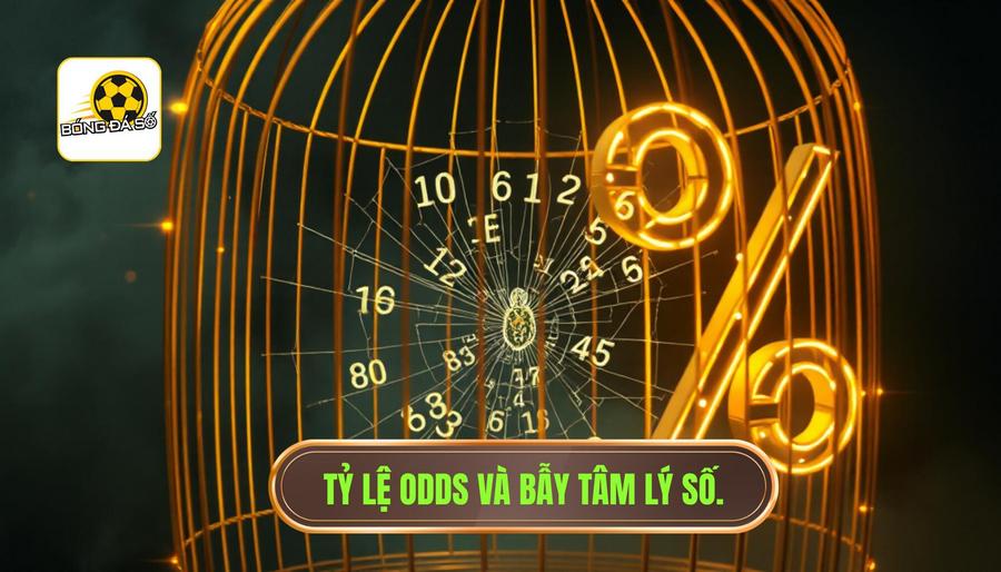 Tỷ lệ Odds - "Chiếc bẫy" ngọt ngào của những con số
