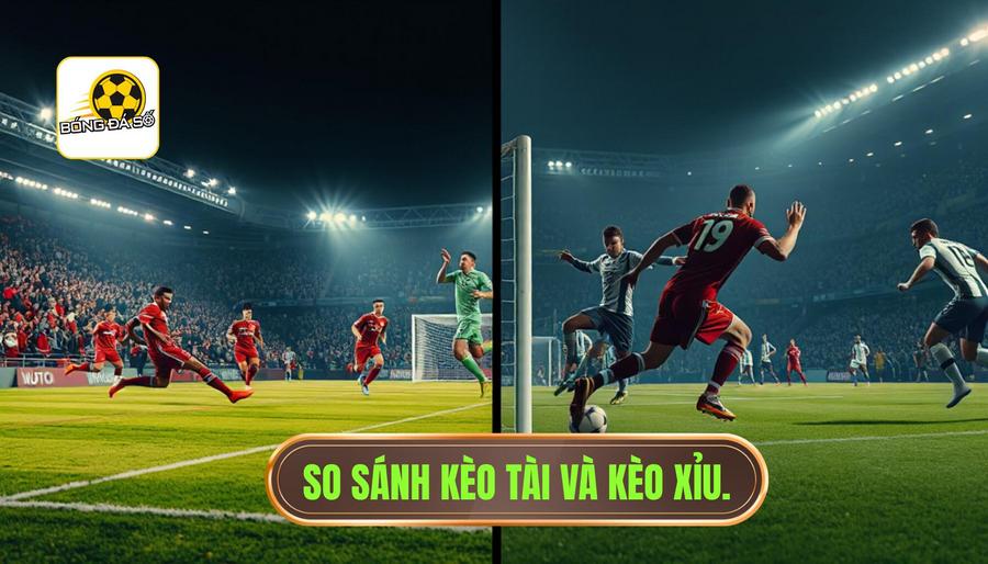 Bảng so sánh: Sự khác biệt giữa trận đấu kèo Tài và kèo Xỉu